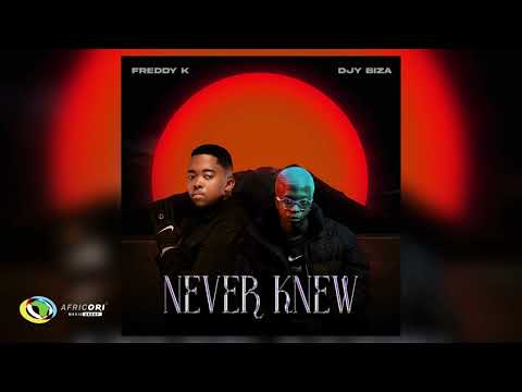 Freddy K and Djy Biza - Nomayini [Feat. Pcee, Justin99 and Vigro Deep] (Official Audio)