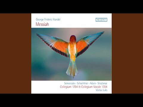 Messiah, HWV 56, Pt. 1: No. 4, And the Glory of the Lord Shall Be Revealed (Live)