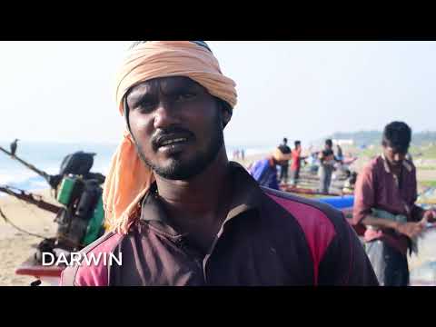 TWO ENDS Documentary