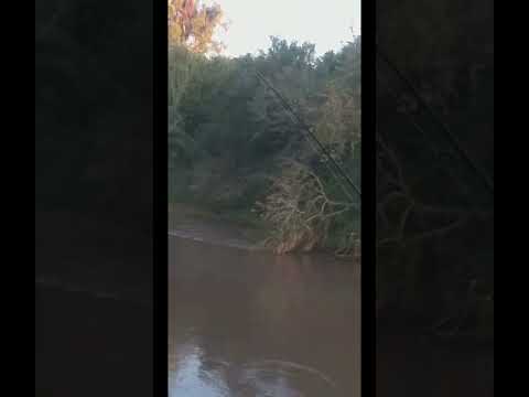Segundo dia de pesca en el rio de san marcos sud  Marco juarez cordoba