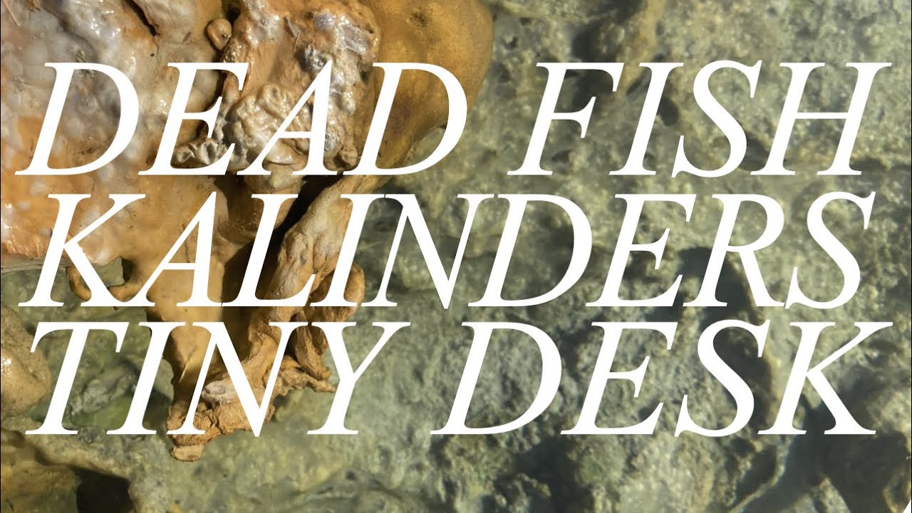 Promotional video thumbnail 5 for Kalinders