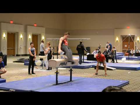 2018 Region 8 Championship; Pommel Horse L9