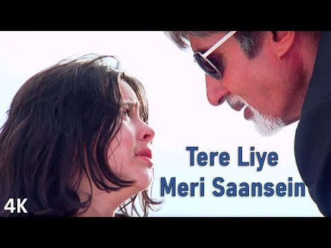 Tere Liye Meri - Ek Ajnabee (2005) - Kunal Ganjawala - Vishal Shekhar - 320Kbps