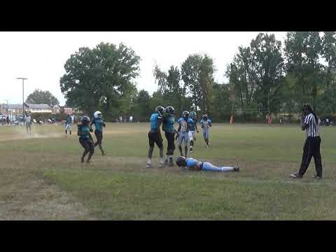 icc vs Baltimore stallions