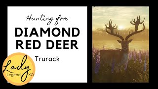 Hunting for Diamond Trurack Red Deer.  Hunter: Call of the Wild
