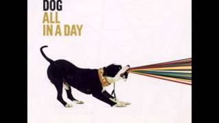 On My Vibe - Backyard Dog