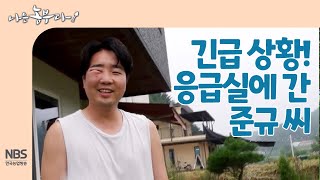 [나는농부다 265회] 긴급 상황! 응급실에 간 준규 씨