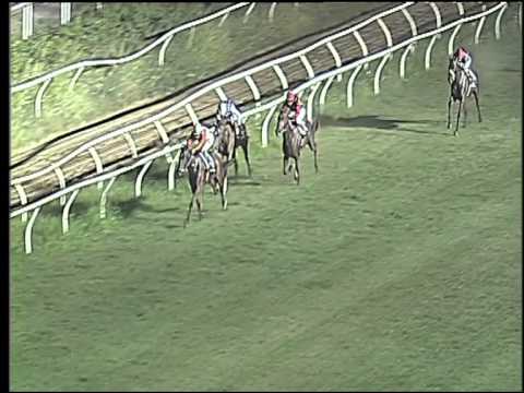 Galoppo 05/08/2015 - 4° corsa