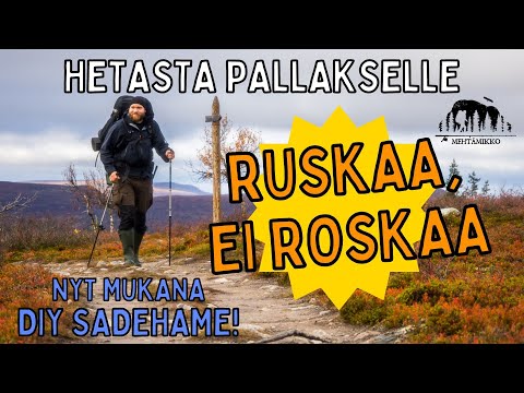 HETTA–PALLAS: A hike from Hetta to Pallas amidst the Autumn colors