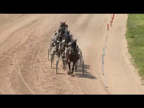 Hippodrom És Lovarda Sprinter Kupa 2024 - Maugli & Joze Sagaj 1.12,7 1800m