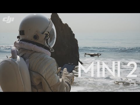 DJI - Mavic Mini 2