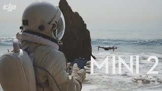 DJI Mini 2 CP.MA.00000312.01