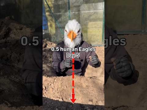 Day 5.Help me out pls :)#spoontobunker#day1 #secretbunker#challenge#spoon#shorts #short#ytshorts #vs