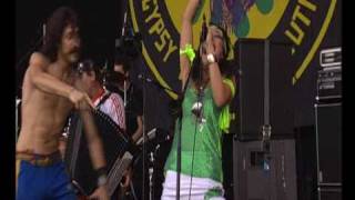 Gogol Bordello  - I Would Never Wanna Be Young Again