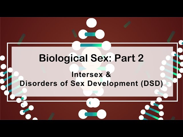 Video Pronunciation of gonadal dysgenesis in English Video Pronunciation of gonadal dysgenesis in English