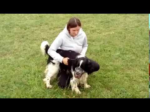 Kerdík se mazlí s Anežkou