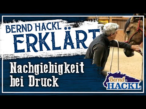 Nachgiebigkeit bei leichtem Druck | Bernd Hackl erklärt! 🐴