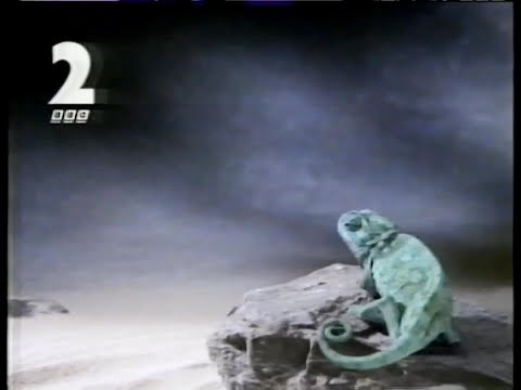 BBC2 Continuity -  Don Giovanni Trailer - (1st April 1991)