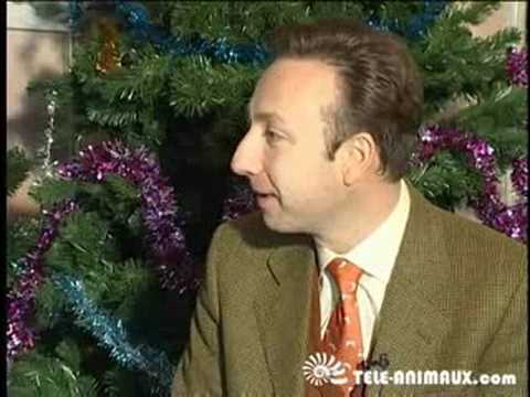 Stephan Bern la royauté pour les Animaux