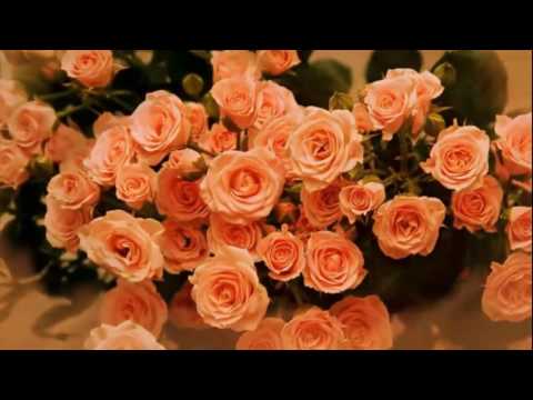 Красивая музыка и королева цветов