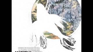 Leave the City - Magnolia Electric Co.