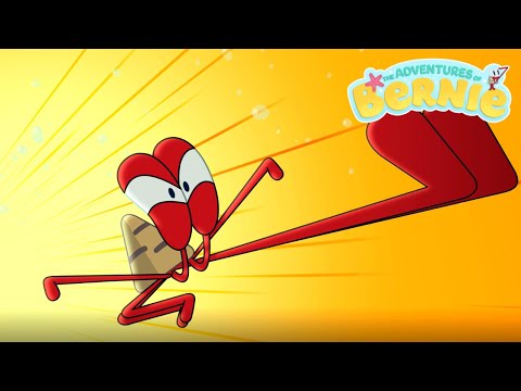 The Adventures of Bernie 🎯✨ That's My Button (s01e01) 🎯✨ Cartoons for Children