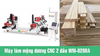 Máy làm mộng dương 2 đầu WM-D200A Woodmaster