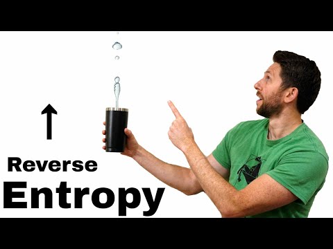 Reversing Entropy and The Arrow Of Time