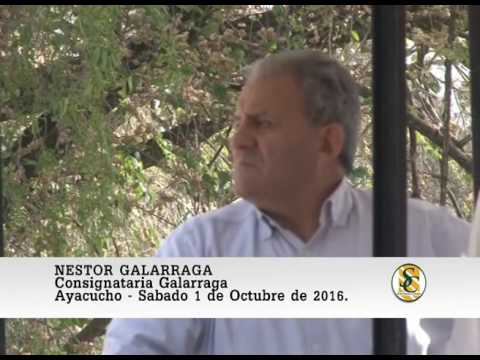 01-10-16 Nota Nestor Galarraga - Cabaña La Reforma e Invitadas - Ayacucho.
