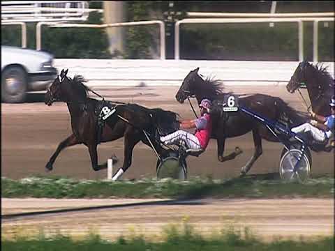 Trotto 13/10/2019 - 1ª corsa