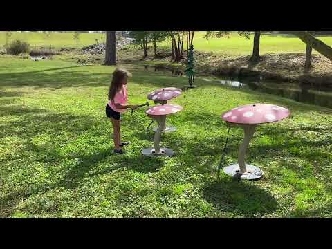 Red Mushroom Ensemble video 1