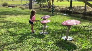 Red Mushroom Ensemble video thumbnail 1