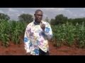 ELIJAH MITI : YOU REAP WHAT YOU SOW.avi ...