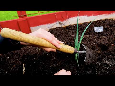 Redskap: Planteringsspade