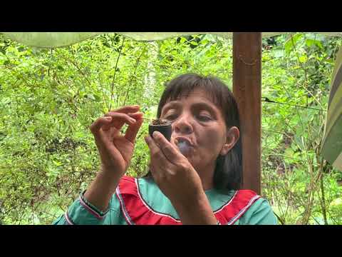 Curandera Isabel (icaro bobinsana) Shipibo