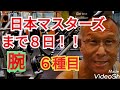 《じぃじの筋トレ》日本マスターズボディビル選手権大会まで8日!!腕を6種目で追い込む!!