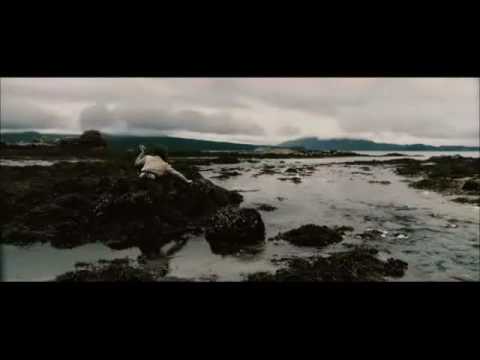 SEACHD - SILEAS sees the water horse