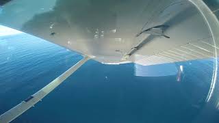 Air Kaikoura scenic whale watching flight Cessna 172M