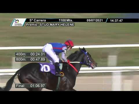 210709 c05 - JEREZ HONOUR -  HIPODROMO LAS PIEDRAS