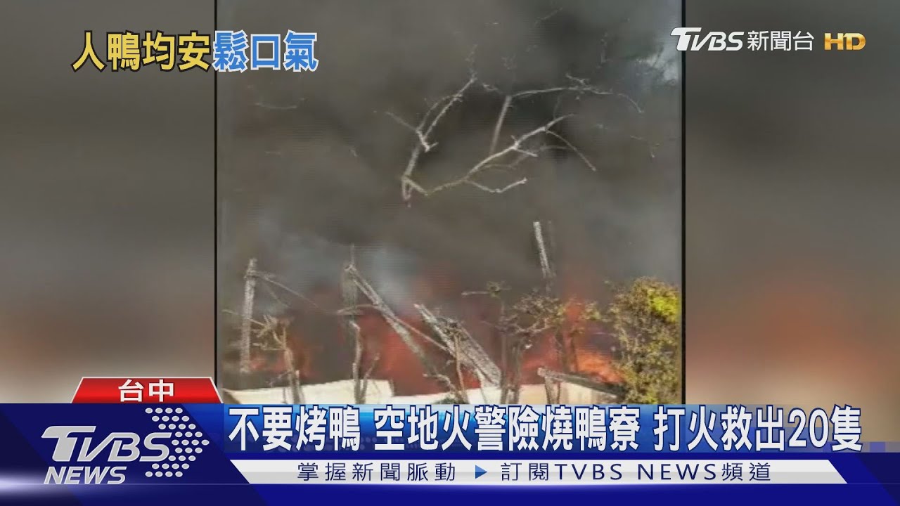 不要烤鴨 空地火警險燒鴨寮打火救出20隻