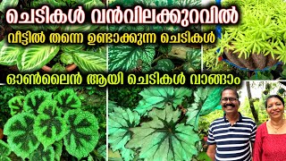 ചെടികൾ വൻവിലക്കുറവിൽ ഓൺലൈൻ വഴി വാങ്ങാം | Online Low Cost Plants Sale In Kerala