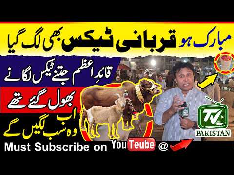 Tax imposed on Eid-ul-Adha animal sacrifice | Imran Khan had said, I will tolerate it, you won't. |
