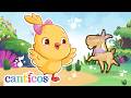 Sal De Ahi Chivita La Vaca Lola Las Mejores Canciones Infantiles De Los Animales Canticosworld