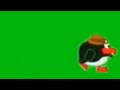 Pingu S Running Green Screen