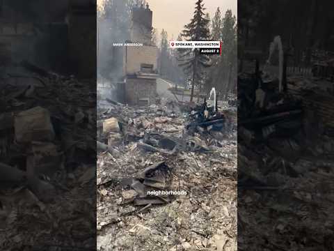 Why the trees aren’t burning in the PNW fires
