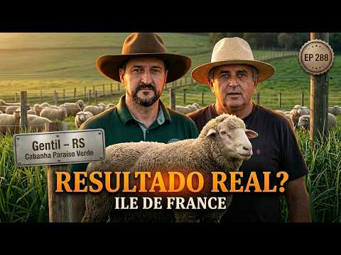 Ile de France: Conheça o  sistema que está elevando resultados no RS