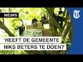 Kinderen in protest tegen sloop boomhut