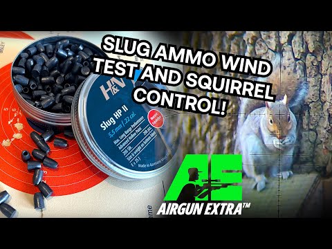 Airgun Extra | Airgun slugs vs pellets wind test | Daystate Blackwolf squirrel hunt