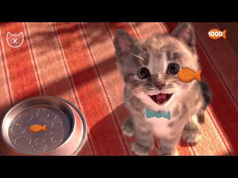PLAY FUN PET ANIMAL CARE KIDS GAMES - KUCING LUCU