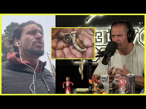 Benefits Of Microdosing